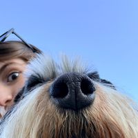 j_nuti_
