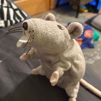 playfulrar