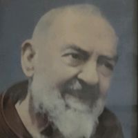 salvatoresorrent31