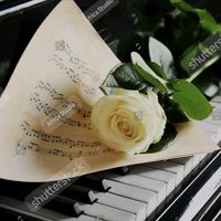 amoreinmusica2