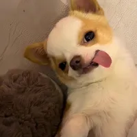 original sound - babatypist73