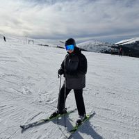 stefan_fintineanu