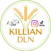 killian_dln