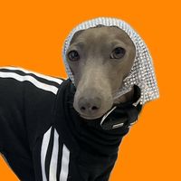 gurketheiggy