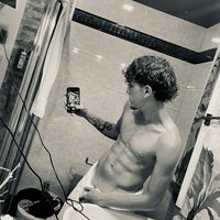 stefanotintii_