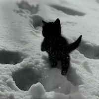 martyna09_7