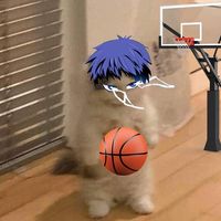 nakzy7