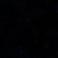 abcdeijk_09