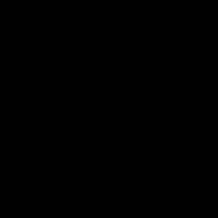 mylan377