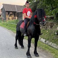tiborcsergezan
