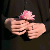pakhtoon.3422