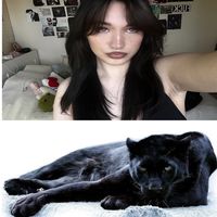 hailiejadesstepmom