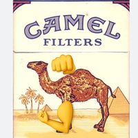 camelya.lazar