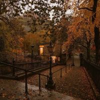 autumnaestheticstehe