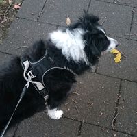 mia03032013