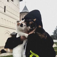 abcd99.6