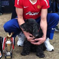 soreanu.manchesterunited
