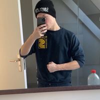 shk_vogel