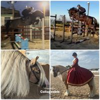 laceyhoose_showjumping