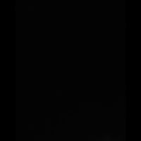 brxvel