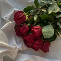 _fruzsina_6