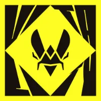 original sound - teamvitality