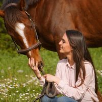 bvlhorsetraining