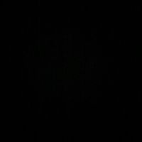ss_fy_2025