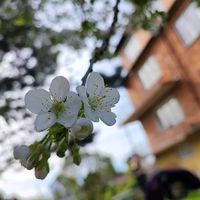 _2024_sigma