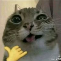 robicuuuu01