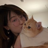 onlycats99