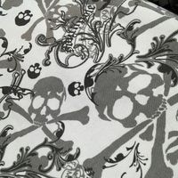 spiders__vsp