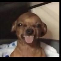 _4lexandr4