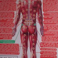 almoaalij1986