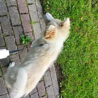 rebeka_h16