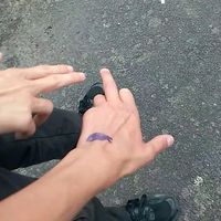 nathayyez5v