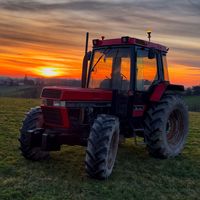 robiche_845