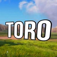 toro_492