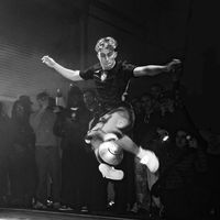 freestyleralex