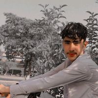 mramir052