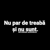 sunet original