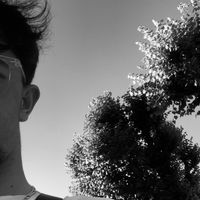 dylan_ct__d