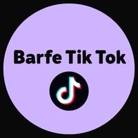 barfe.tik.tok8