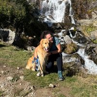 charlietheenglishgolden