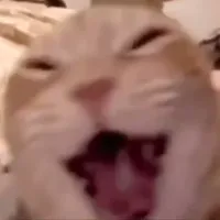 original sound - laughing_my_ass_of_