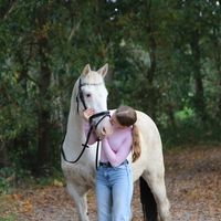 lilly_aus.nrw