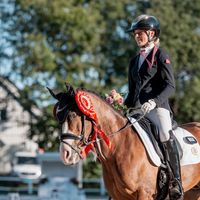 mbsdressage