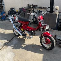 mariostrella5