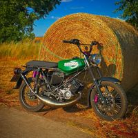 timon8869