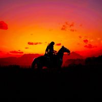 rdr_xox